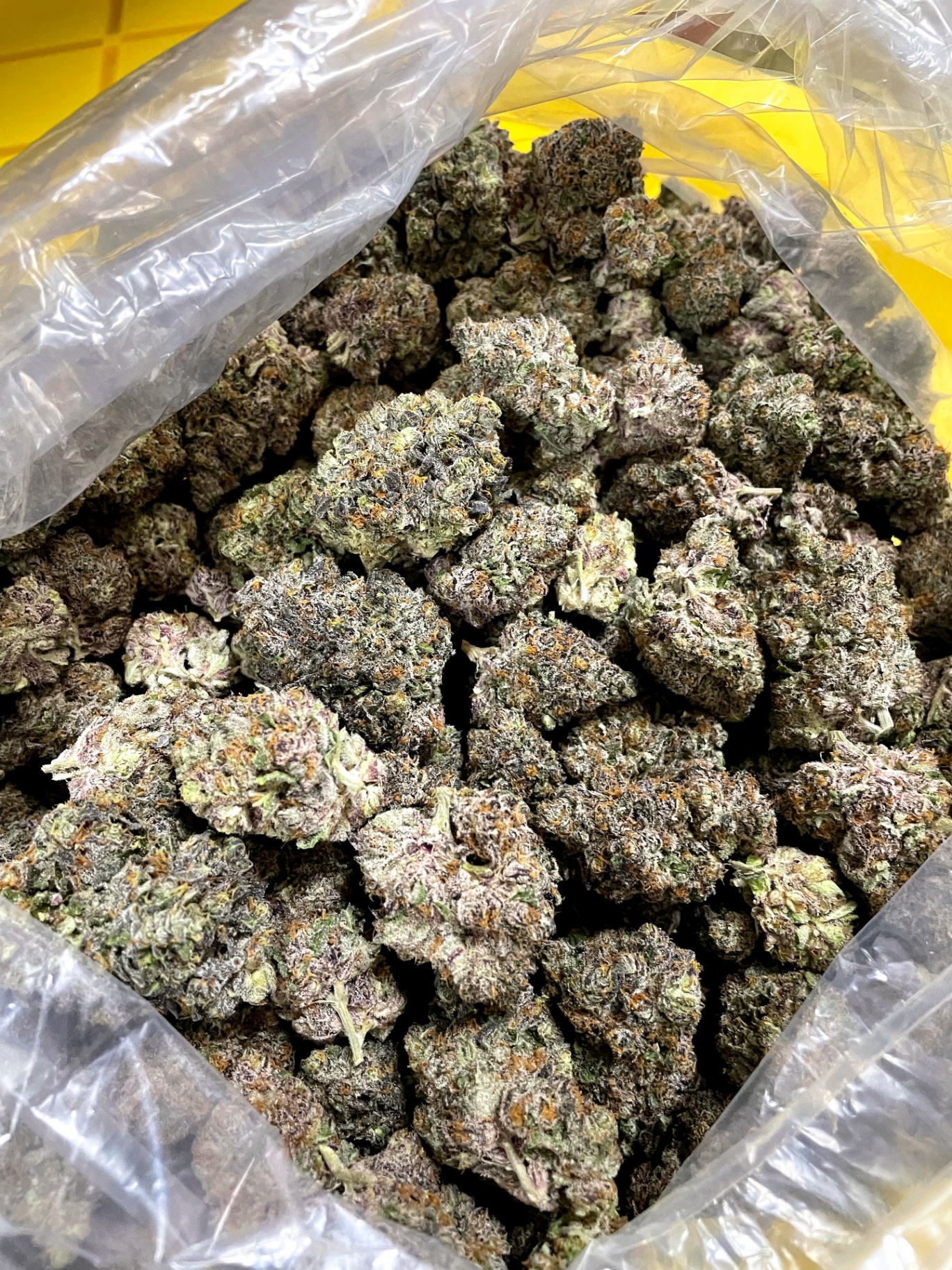 Trimmed and packaged cannabis flower ready for distribution